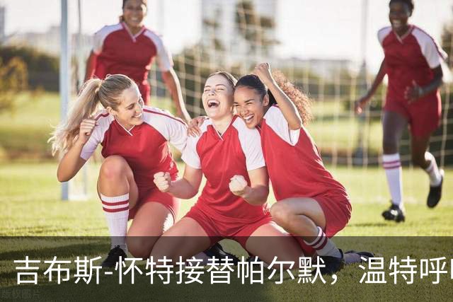 吉布斯-怀特接替帕尔默，温特呼吁他应上场比赛
